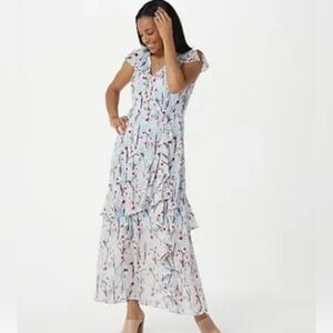 Haute Hippie high/low gorgeous dress.